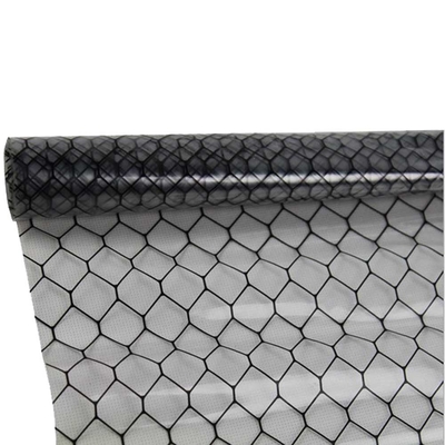 Cleanroom ESD het Antistatische van het het Gordijnnet van pvc Blad van pvc Zachte Transparante